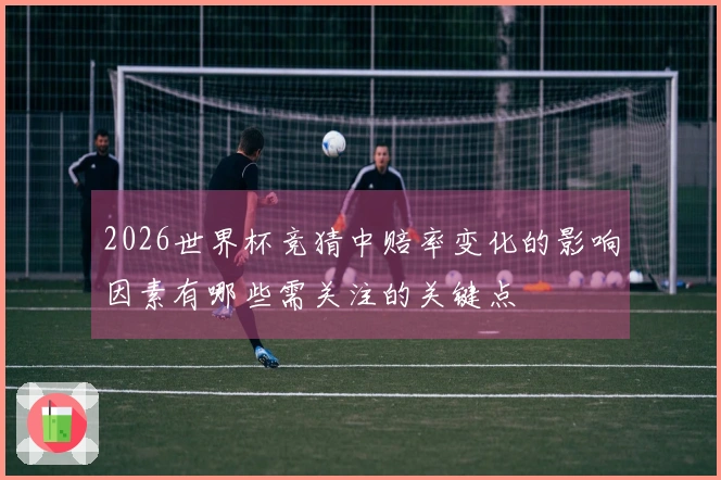 2026世界杯竞猜中赔率变化的影响因素有哪些需关注的关键点