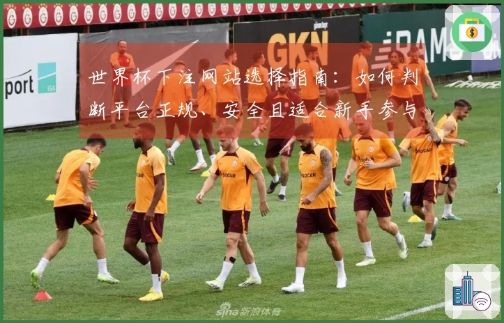 世界杯下注网站选择指南：如何判断平台正规、安全且适合新手参与