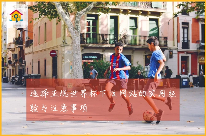 选择正规世界杯下注网站的实用经验与注意事项