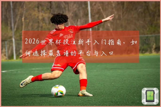 2026世界杯投注新手入门指南，如何选择最靠谱的平台与入口