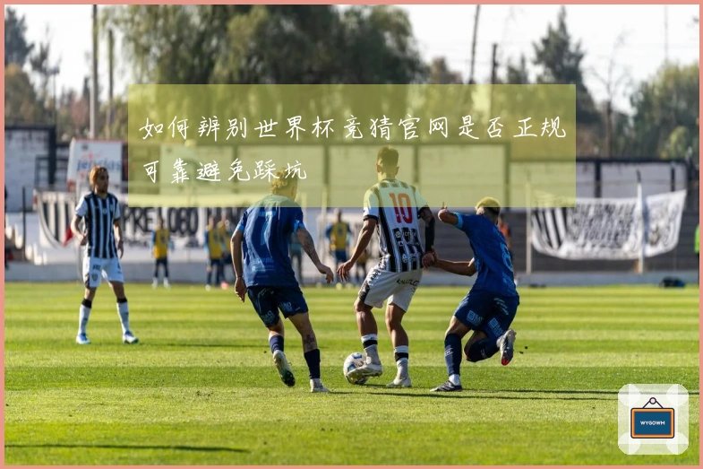 如何辨别世界杯竞猜官网是否正规可靠避免踩坑