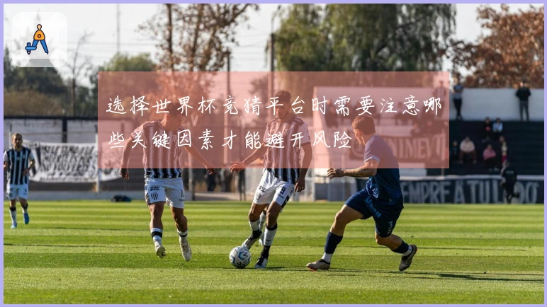 选择世界杯竞猜平台时需要注意哪些关键因素才能避开风险