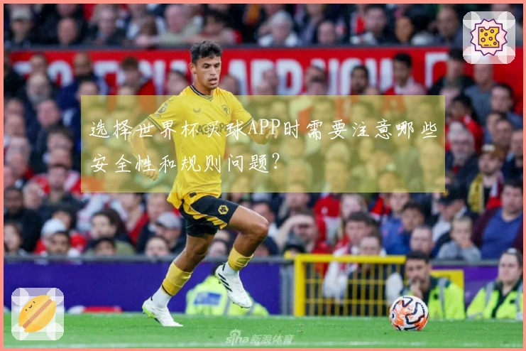 选择世界杯买球APP时需要注意哪些安全性和规则问题？