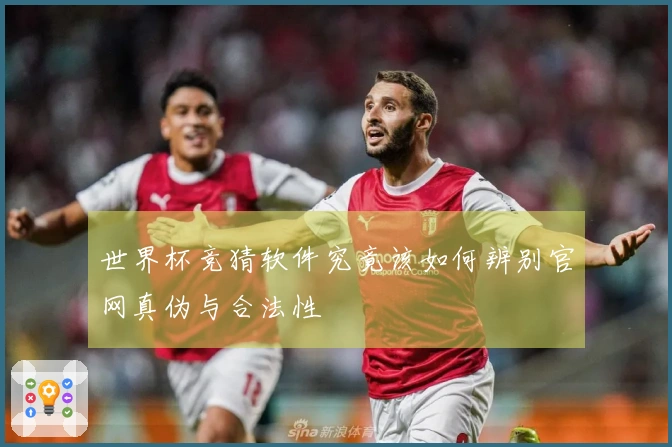 世界杯竞猜软件究竟该如何辨别官网真伪与合法性