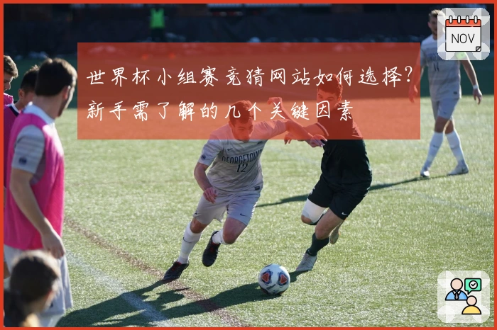 世界杯小组赛竞猜网站如何选择？新手需了解的几个关键因素