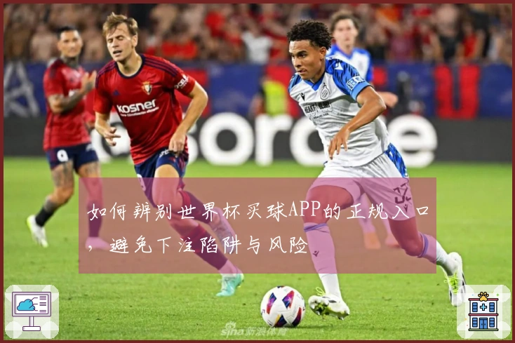 如何辨别世界杯买球APP的正规入口，避免下注陷阱与风险