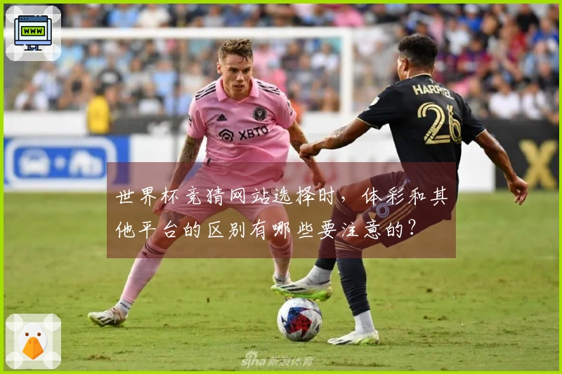 世界杯竞猜网站选择时，体彩和其他平台的区别有哪些要注意的？