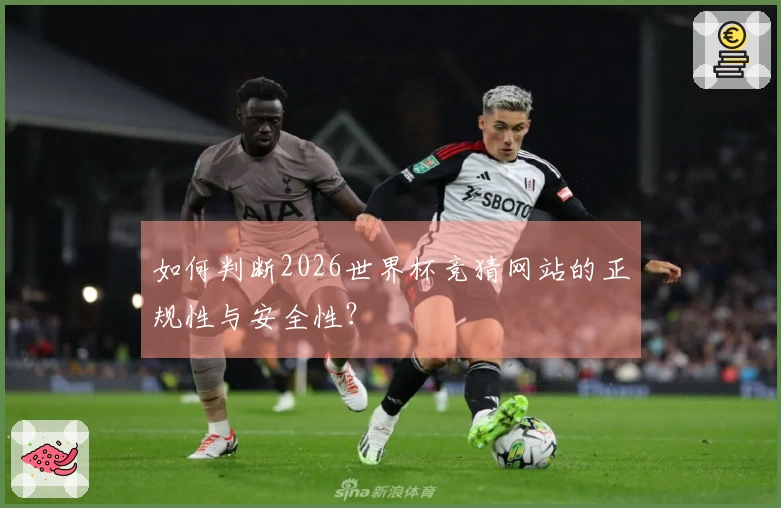 如何判断2026世界杯竞猜网站的正规性与安全性？