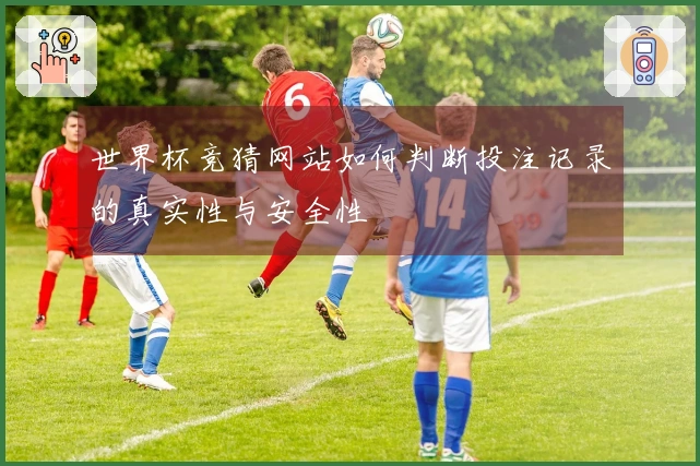 世界杯竞猜网站如何判断投注记录的真实性与安全性