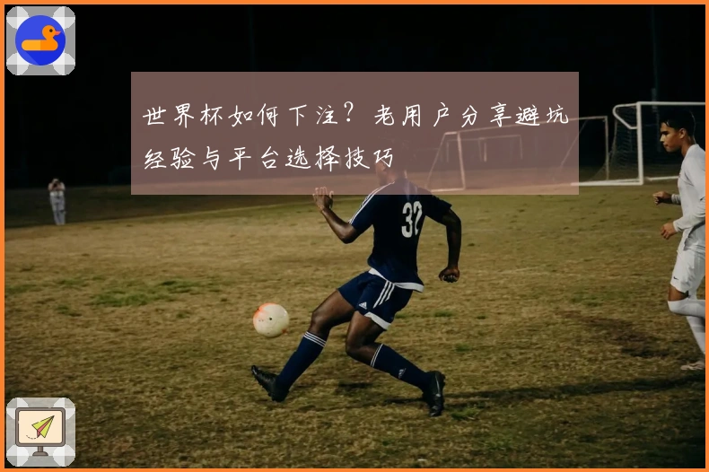 世界杯如何下注？老用户分享避坑经验与平台选择技巧