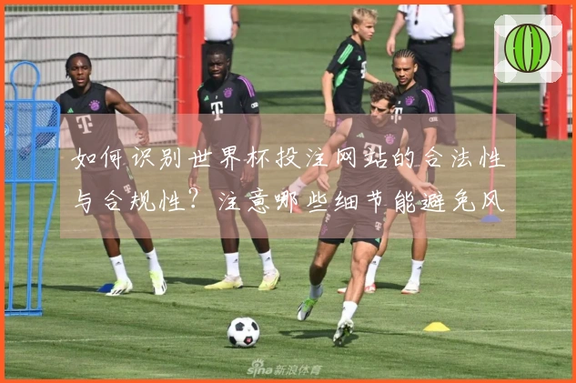 如何识别世界杯投注网站的合法性与合规性？注意哪些细节能避免风险？