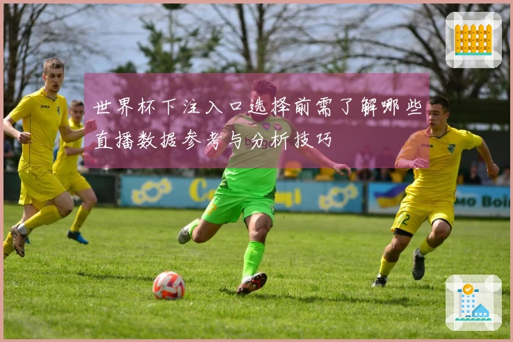 世界杯下注入口选择前需了解哪些直播数据参考与分析技巧