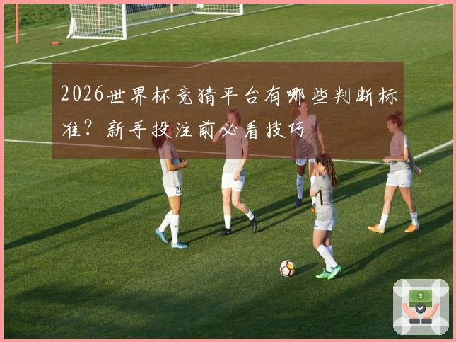 2026世界杯竞猜平台有哪些判断标准？新手投注前必看技巧