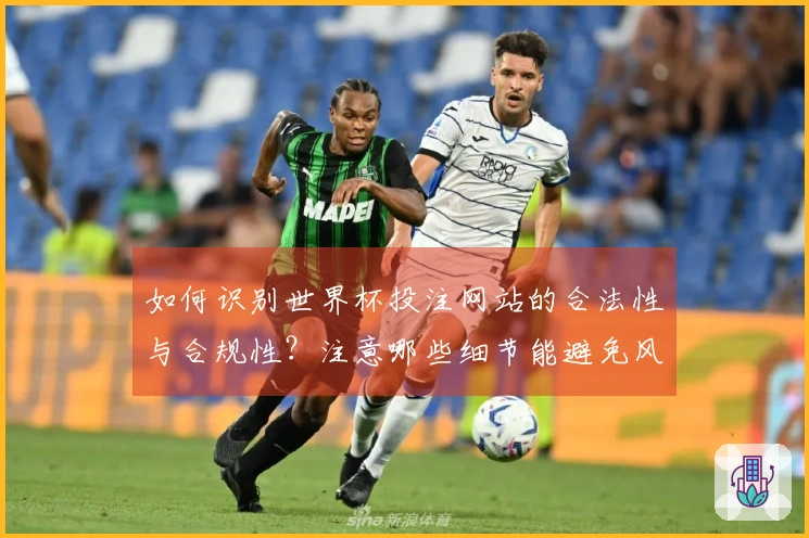 如何识别世界杯投注网站的合法性与合规性？注意哪些细节能避免风险？