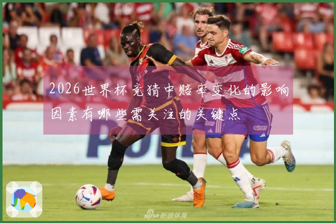 2026世界杯竞猜中赔率变化的影响因素有哪些需关注的关键点