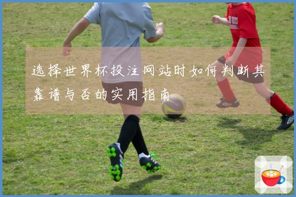 选择世界杯投注网站时如何判断其靠谱与否的实用指南