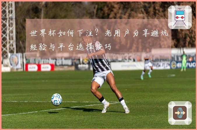世界杯如何下注？老用户分享避坑经验与平台选择技巧