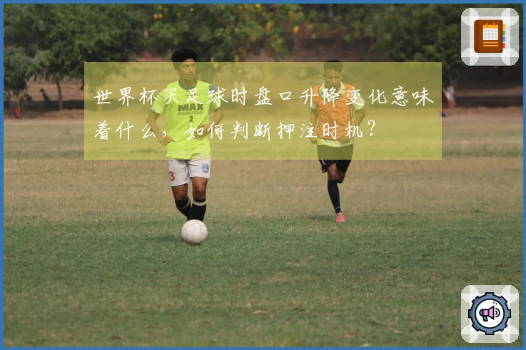 世界杯买足球时盘口升降变化意味着什么，如何判断押注时机？