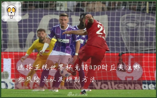 选择正规世界杯竞猜app时应关注哪些风险点以及辨别方法