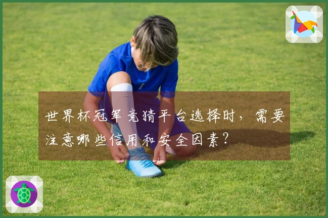 世界杯冠军竞猜平台选择时，需要注意哪些信用和安全因素？