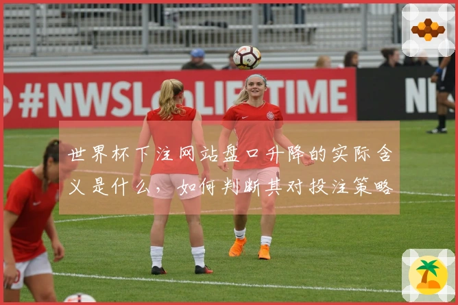 世界杯下注网站盘口升降的实际含义是什么，如何判断其对投注策略的影响？