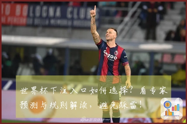 世界杯下注入口如何选择？看专家预测与规则解读，避免踩雷！