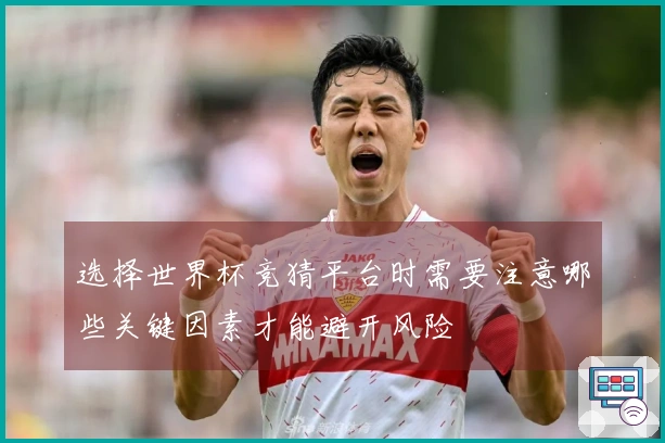 选择世界杯竞猜平台时需要注意哪些关键因素才能避开风险