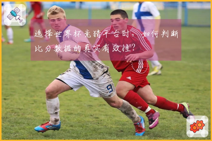选择世界杯竞猜平台时，如何判断比分数据的真实有效性？