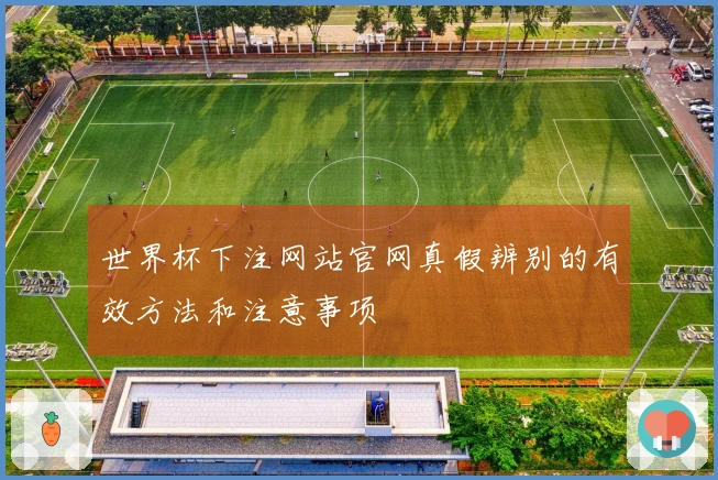 世界杯下注网站官网真假辨别的有效方法和注意事项